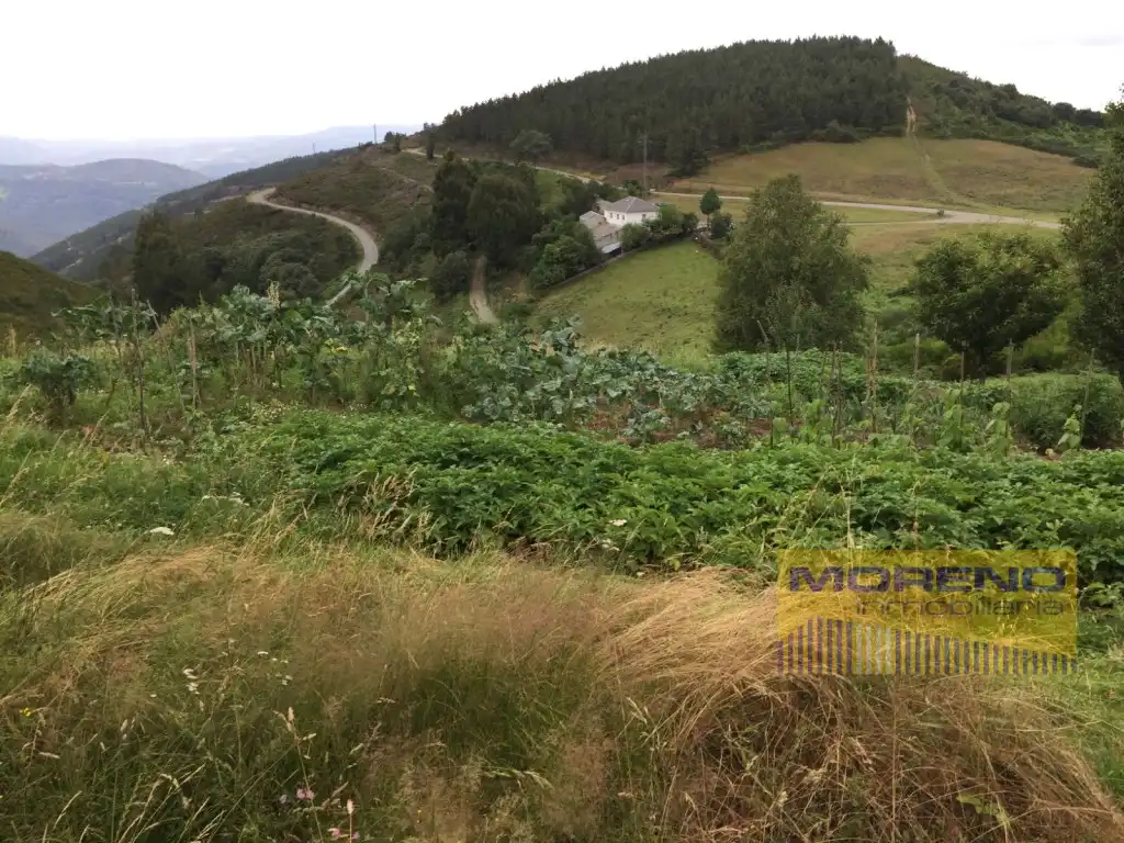 Casa o xalet en venda en Navia de Suarna amb Terrassa