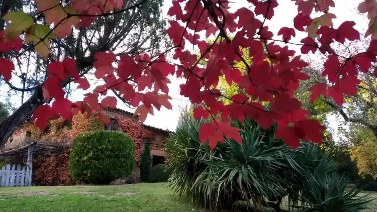 Jardín de Finca rústica en venta en Galaroza con Calefacción, Terraza y Trastero
