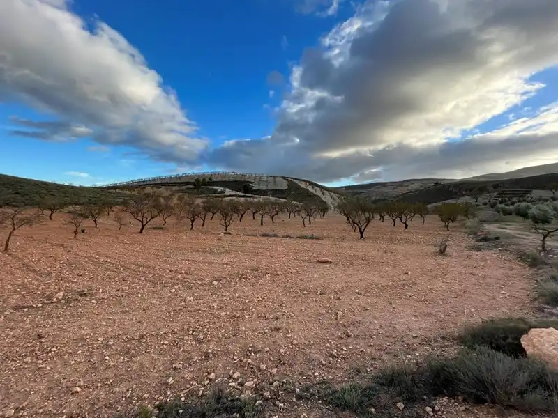 Terreny rústic en venda a Villamena