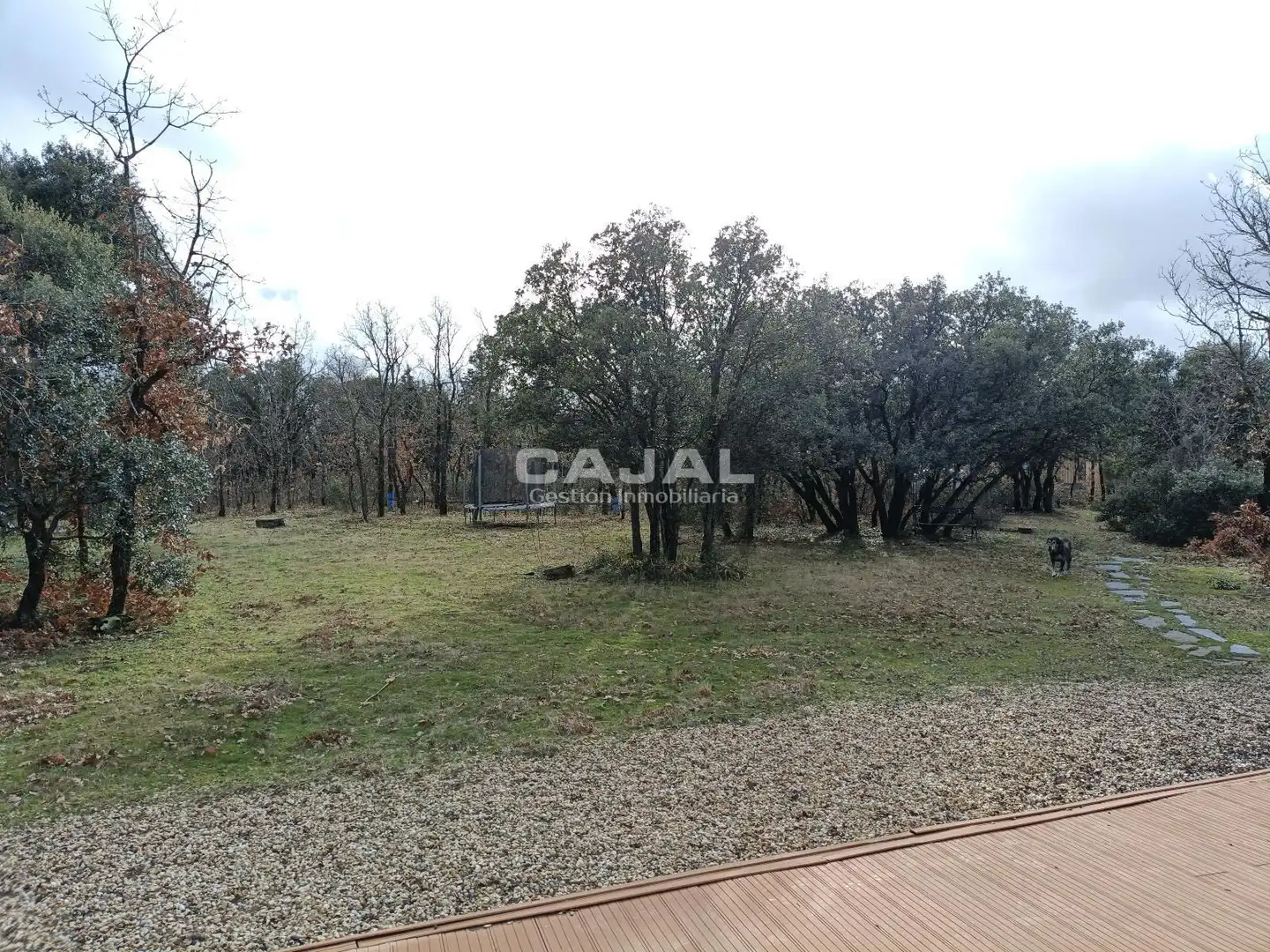Casa o chalet en venta en Castillejo de Mesleón con Calefacción