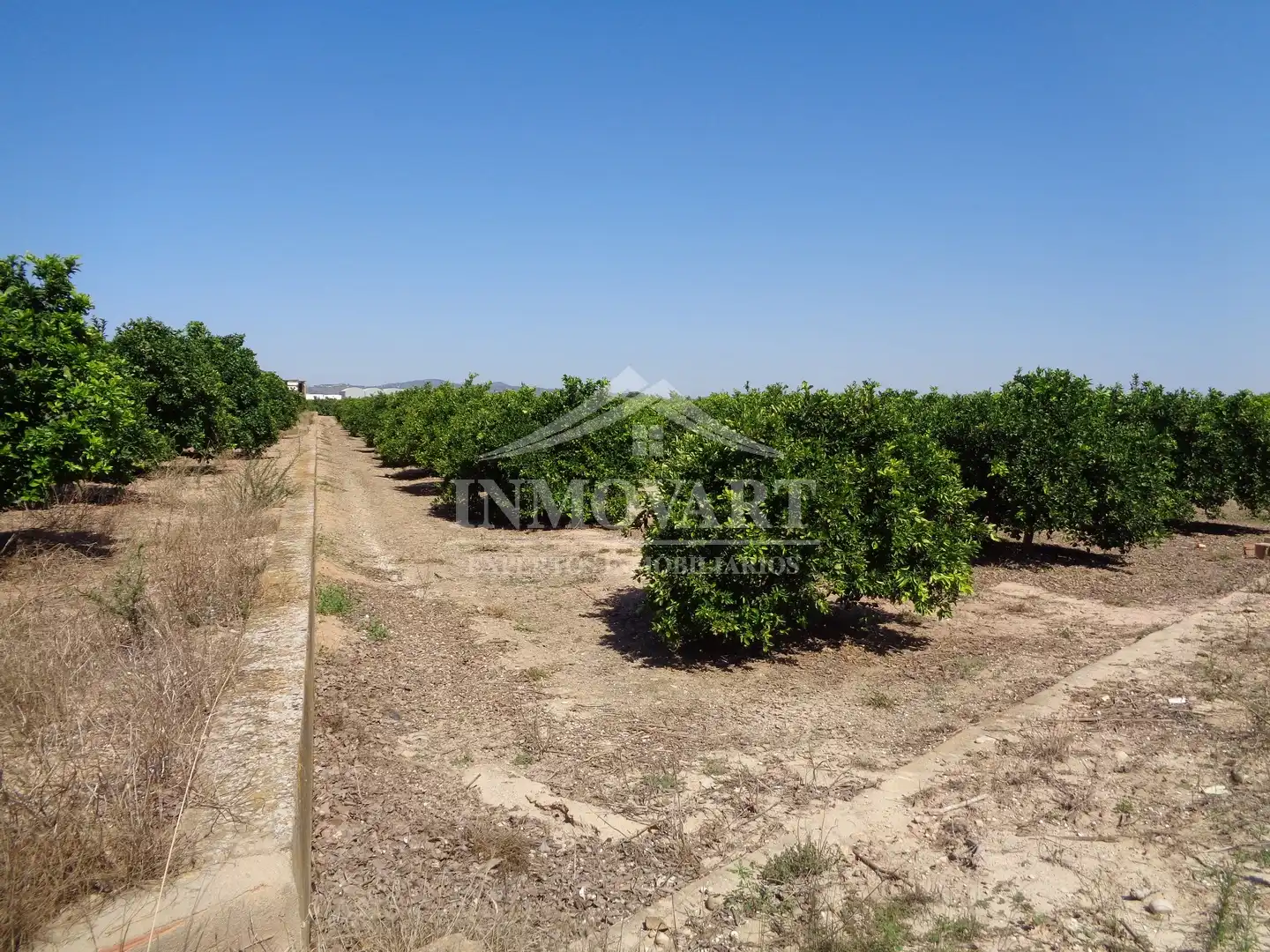 Rural land for sale in Sollana, imagen 3