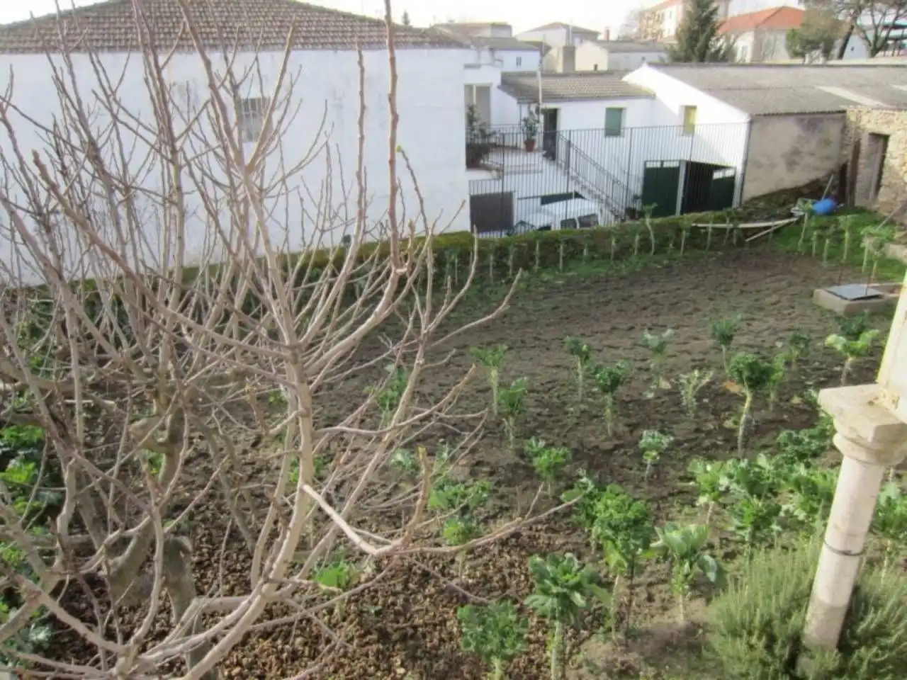 Casa o xalet en venda en Fuentes de Oñoro amb Terrassa i Moblat