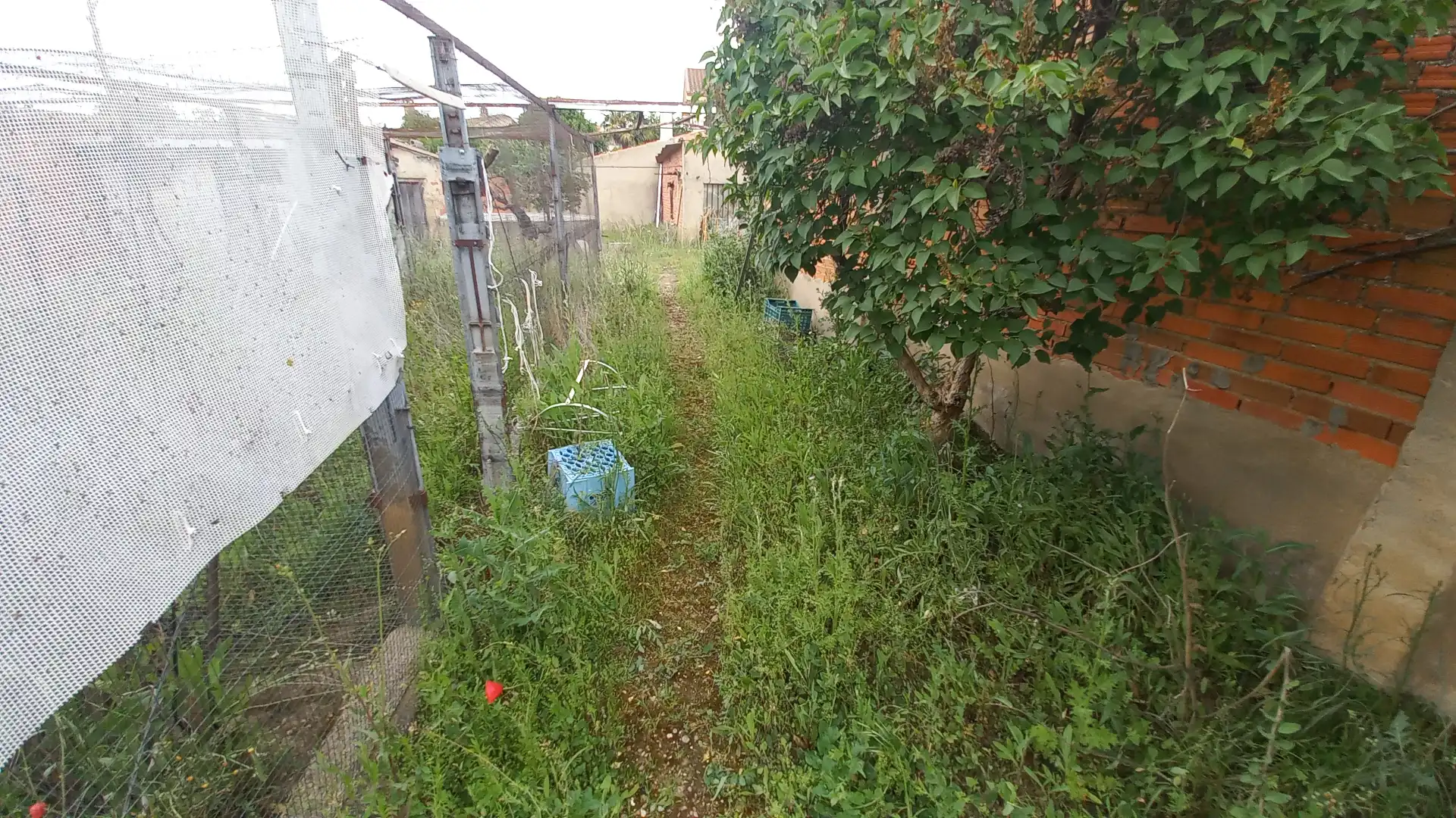 Casa o chalet en venta en Villaralbo