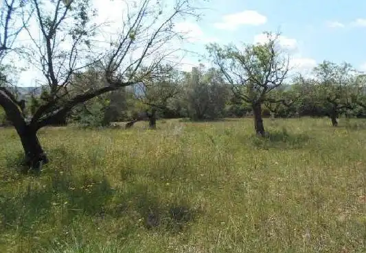 Terreno rústico en venta en Albocàsser, imagen 3