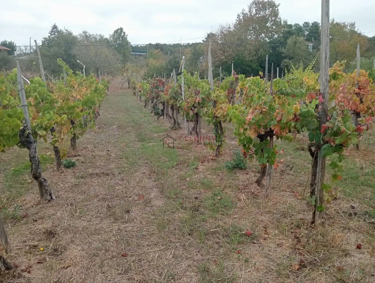 Residencial en venda en San Cibrao das Viñas