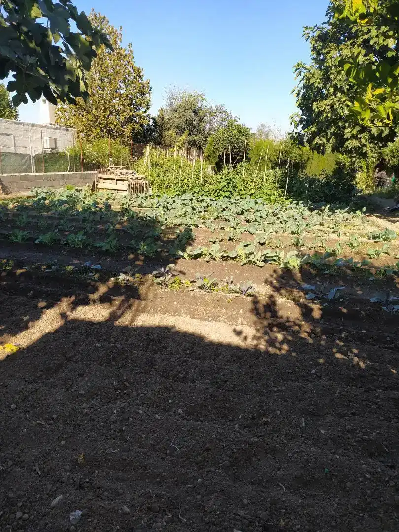 Jardí de Finca rústica en venda en  Granada Capital