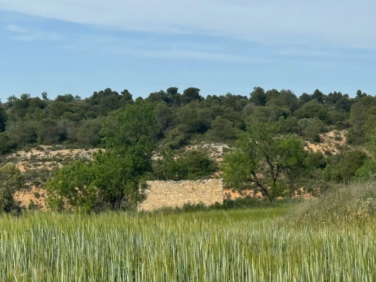 Terreni e lotti in vendita a Valderrobres, imagen 18