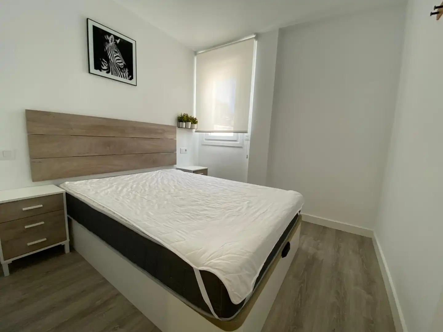 Wohnungen zur Miete in Calle Teodoro Camino, Centro