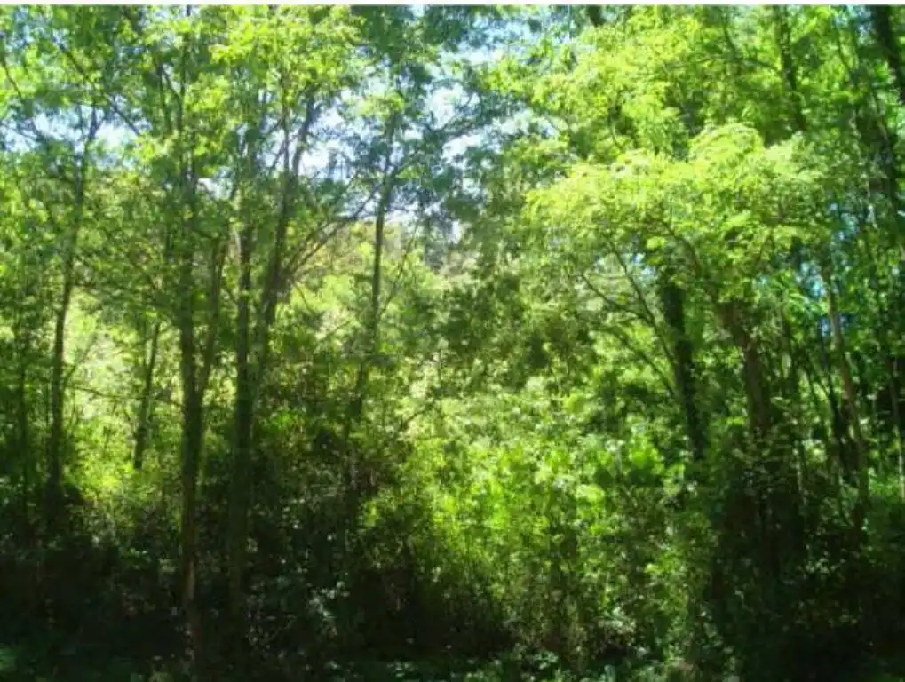 Rural land for sale in Lapice - Larreaundi - Olaberria - Meaka, imagen 2