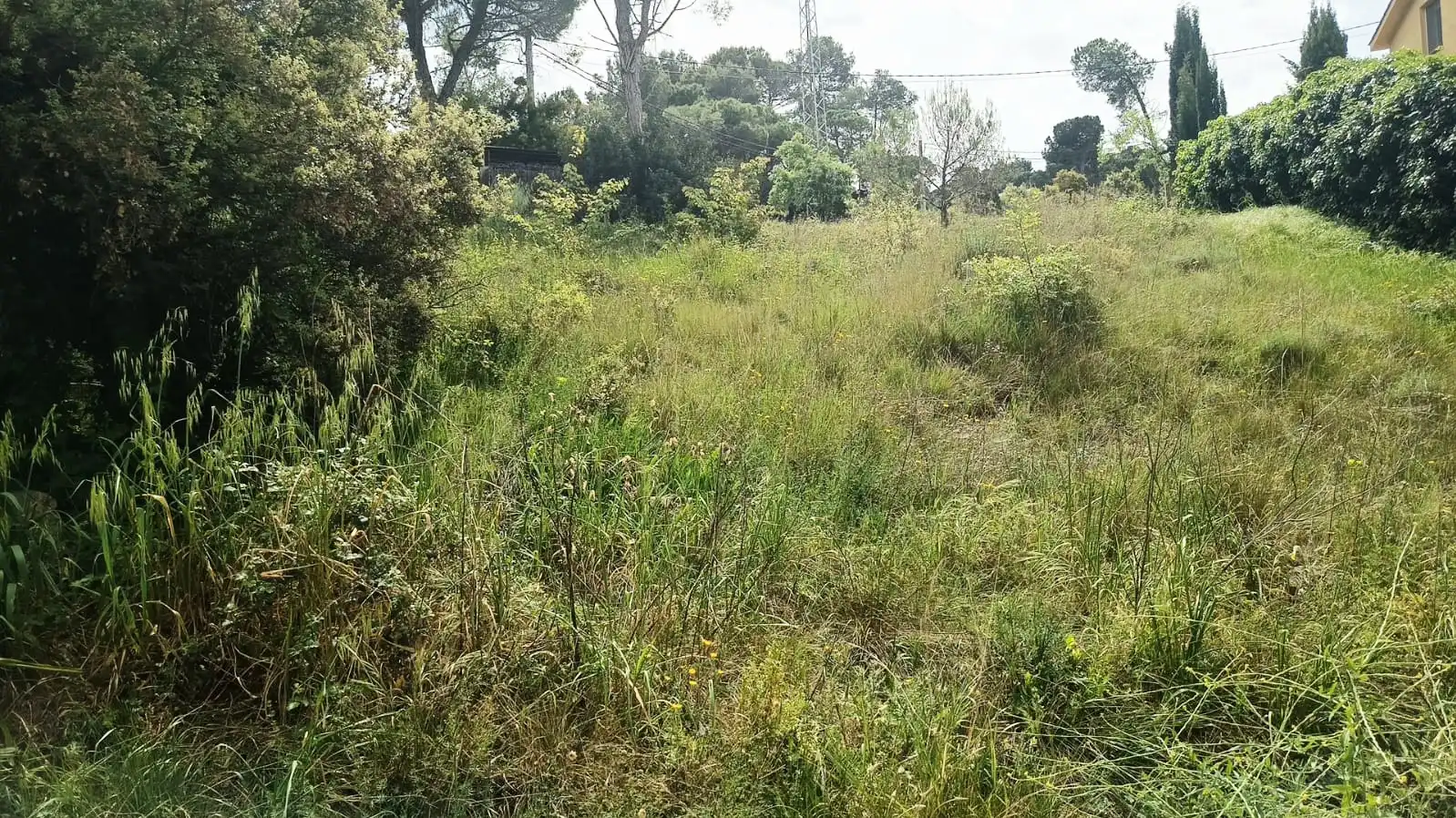 Residential for rent in Mediona