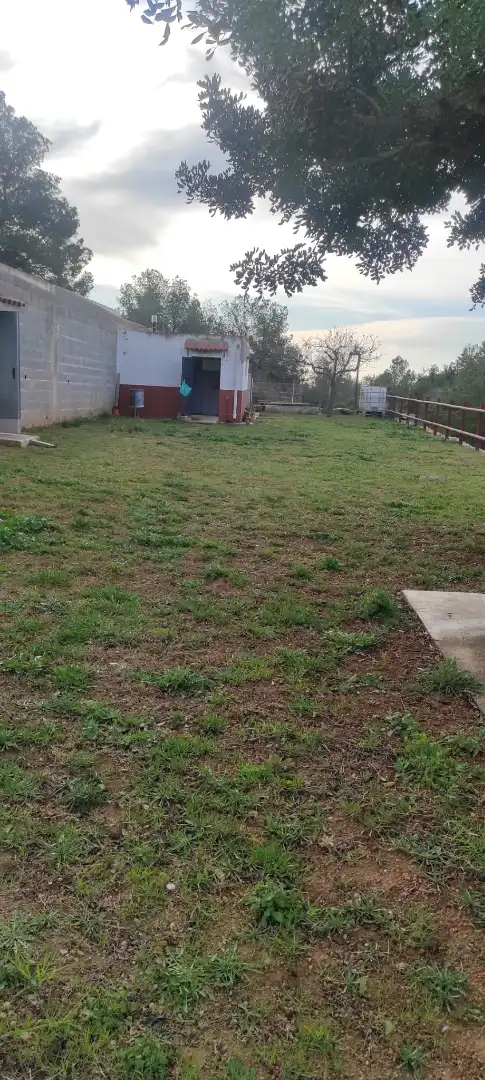 Terrain rustique à vendre à Nord, imagen 15