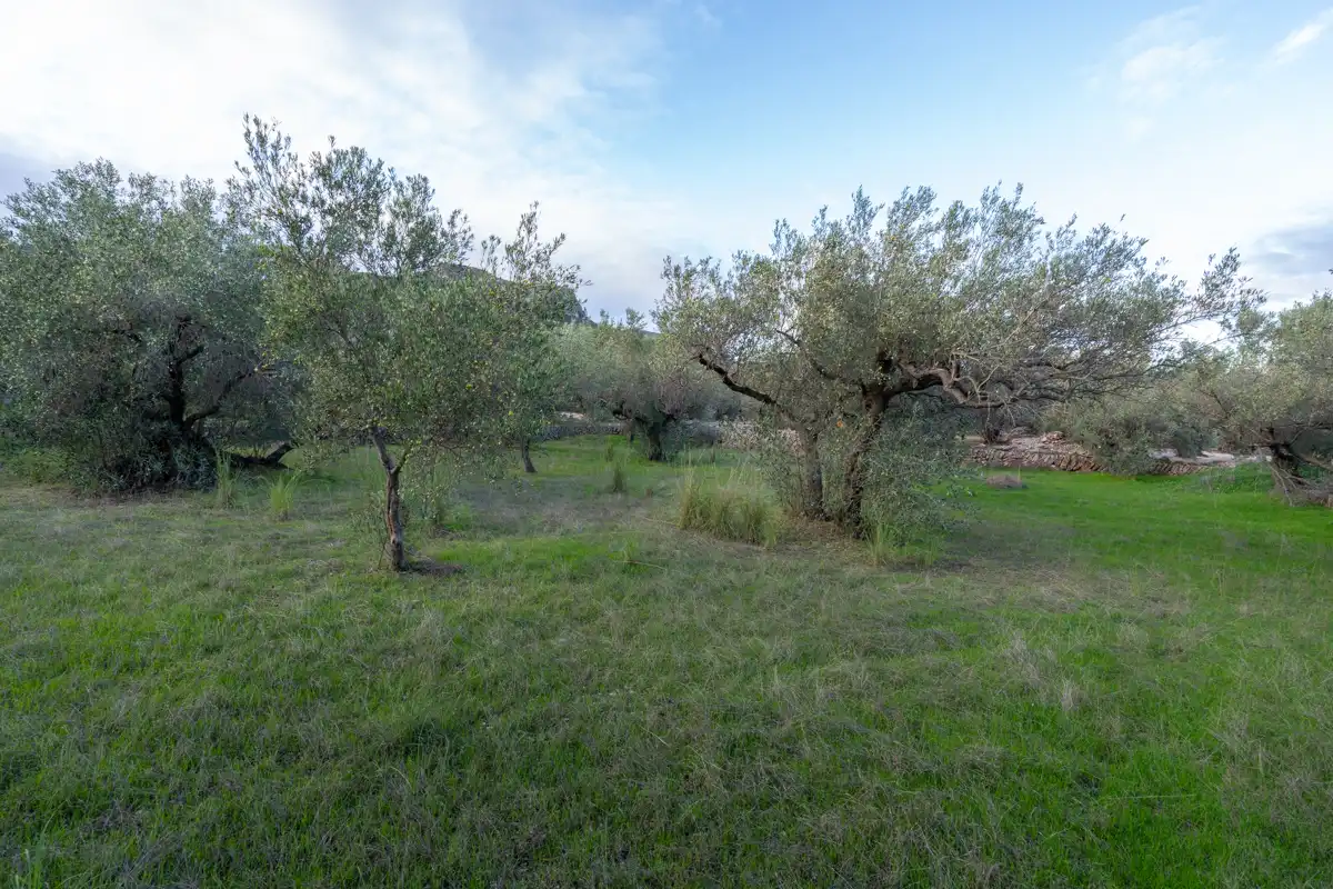 Terreno rustico in vendita a Partida Pandorga 2, imagen 13
