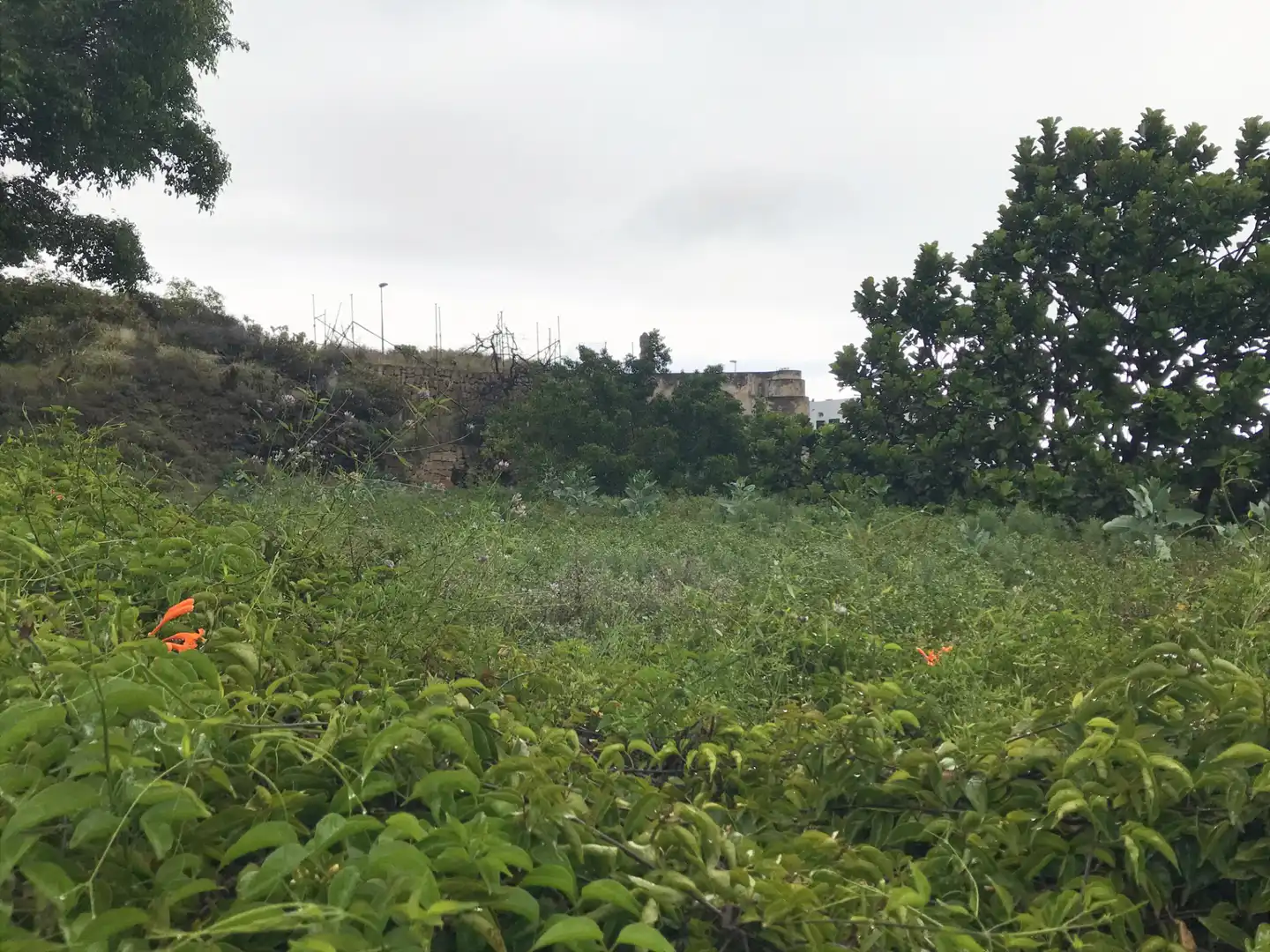 Residencial en venta en Güímar