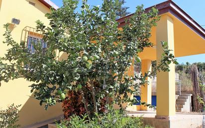 Vista exterior de Finca rústica en venda en Vélez-Málaga