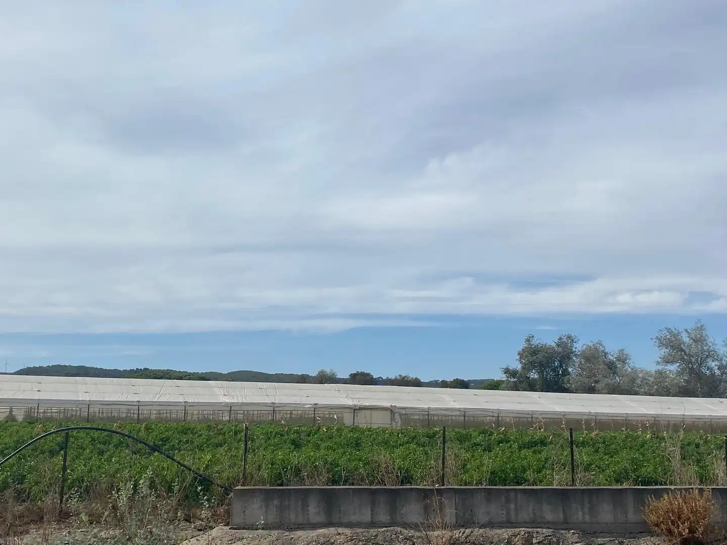 Terreno rustico in vendita a Barbate ciudad, imagen 11