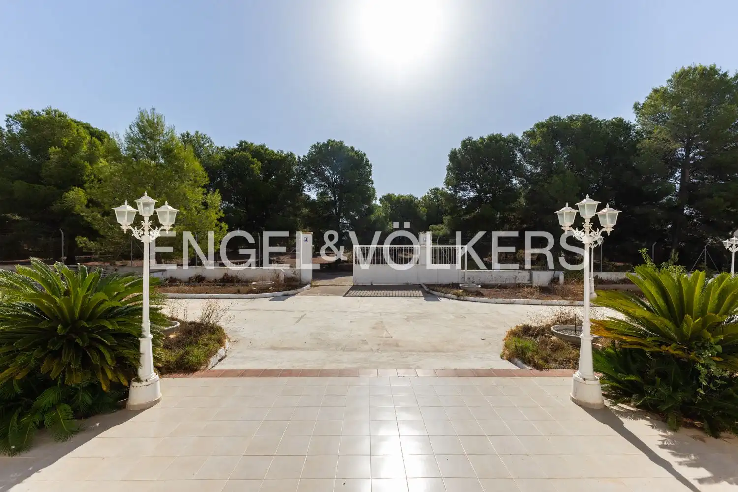 Casa con terrazza in vendita a Los Pinares - La Masia, imagen 22