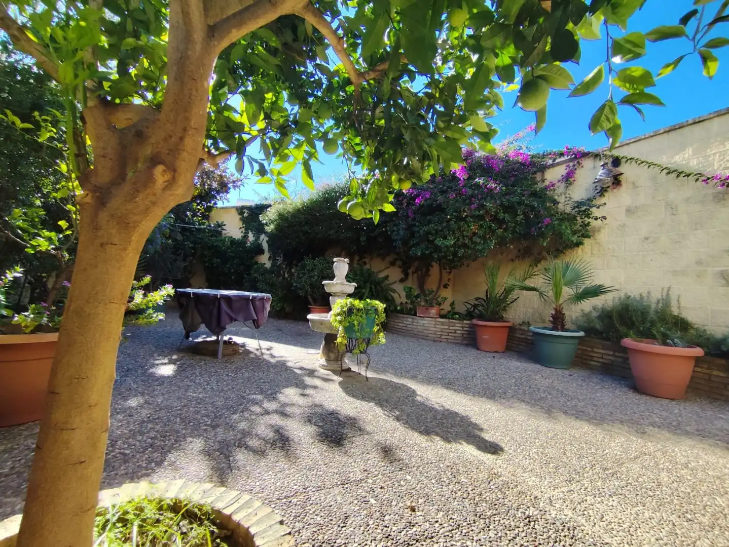 Jardí de Casa o xalet en venda en Hinojos amb Aire condicionat, Calefacció i Jardí privat