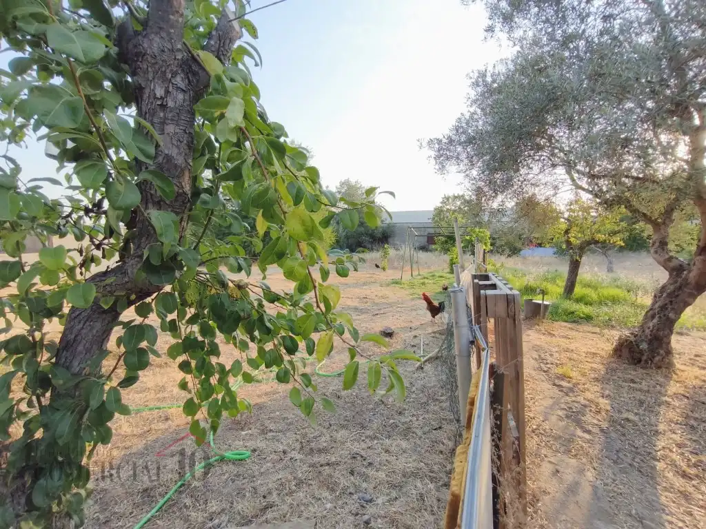 Terreni e lotti in vendita a Dehesilla de Calamón - Campomanes, imagen 27