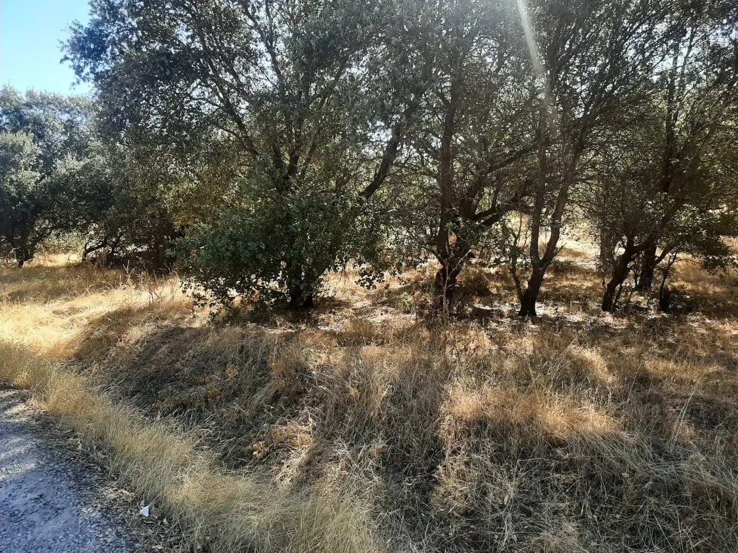 Terreni e lotti in vendita a Torreorgaz, imagen 3
