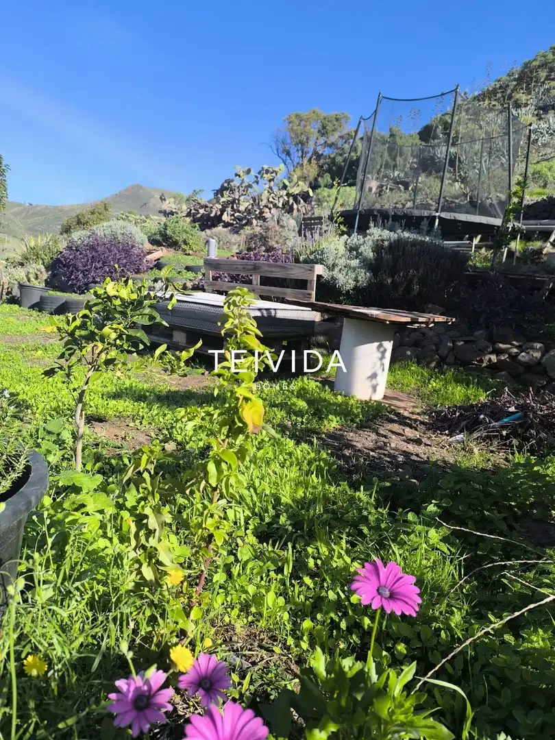 Flat for sale in San Cristóbal de la Laguna  with Private garden and Furnished
