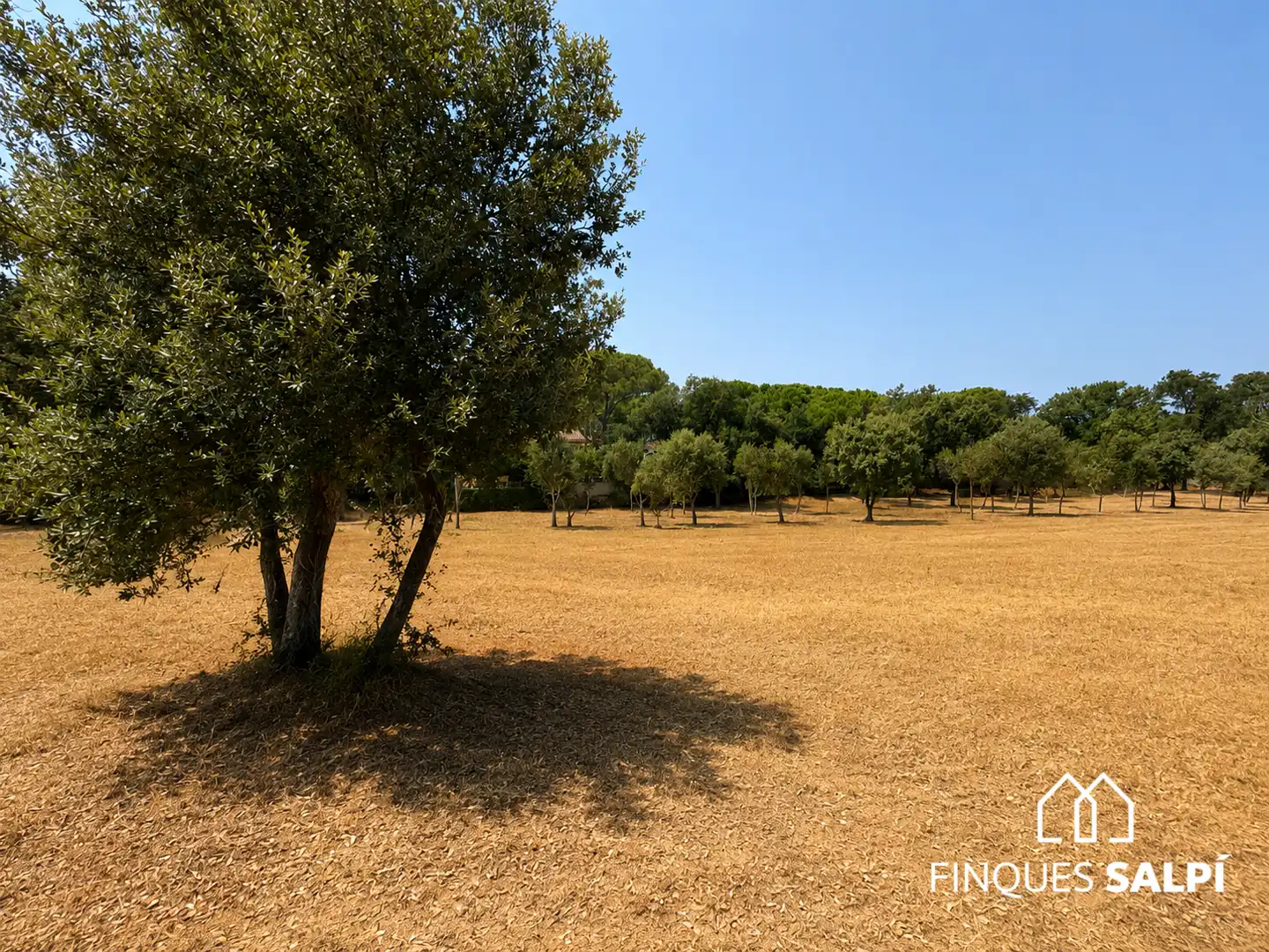 Finca rústica en venda en Santa Cristina d'Aro amb Jardí privat