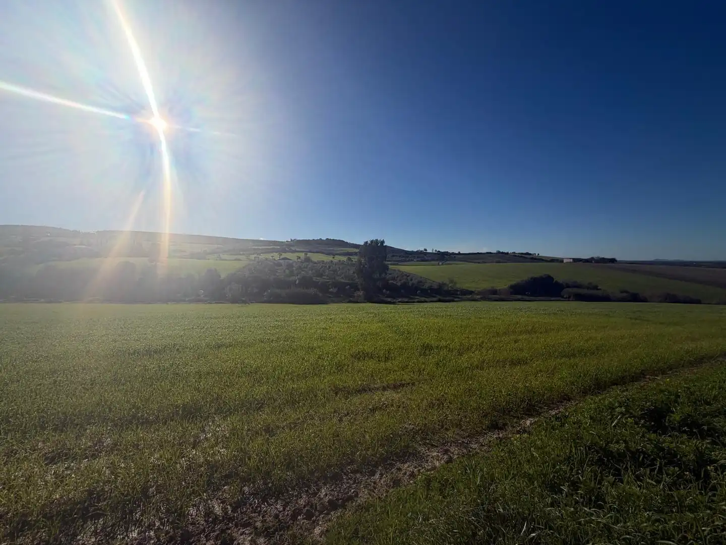 Country homes for sale in Arcos de la Frontera