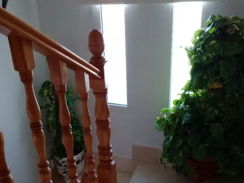 Casa con jardín en venta en C/. LA PINTA 14, imagen 15