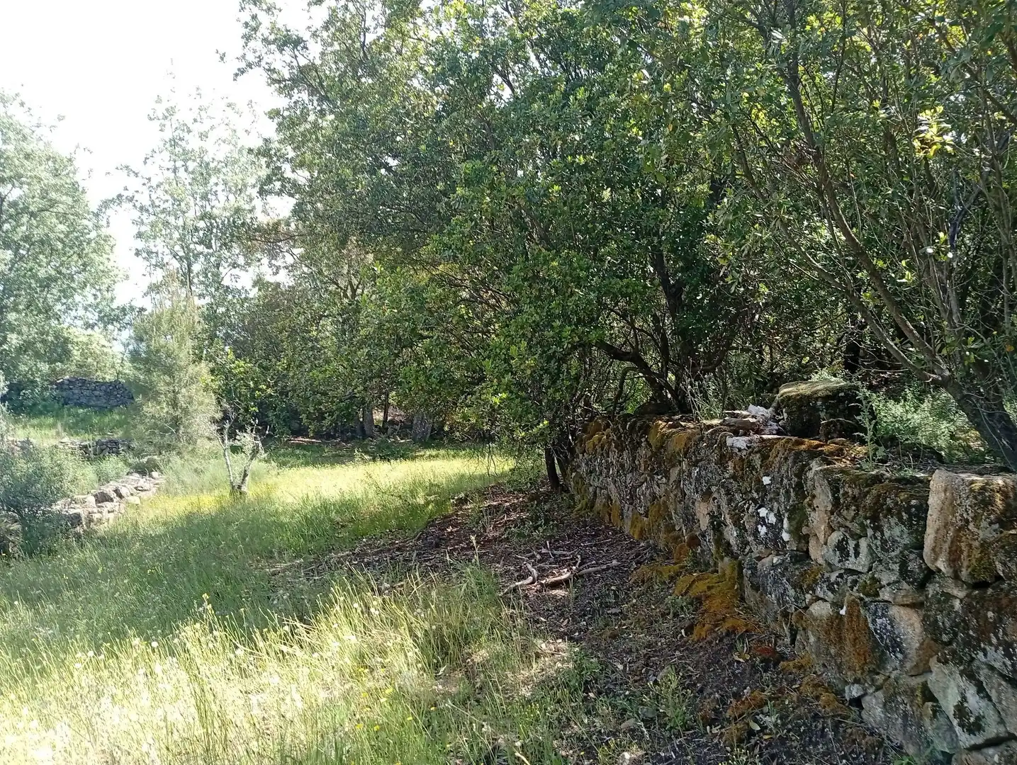 Terreni e lotti in vendita a Villanueva de la Vera, imagen 82
