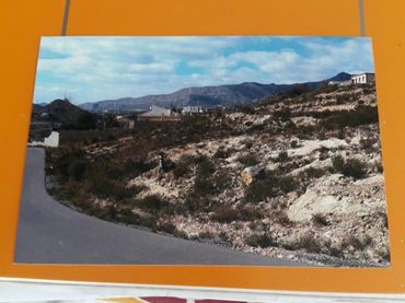 Residential land for sale in Partida VALLE  EL SAVINAR