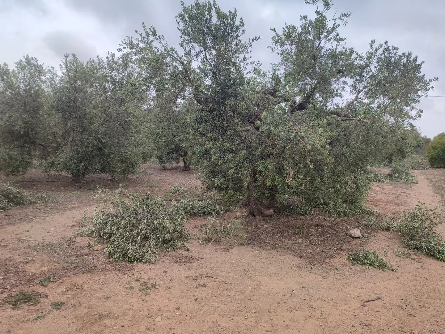 Terreno en venta en Cambrils