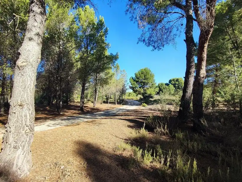 Vista exterior de Finca rústica en venda en Tobarra amb Jardí privat, Terrassa i Traster