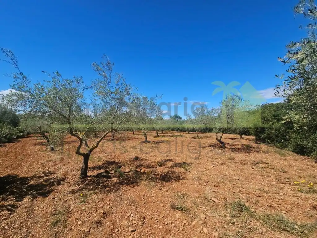 Terreny residencial en venda a Càlig, imagen 2