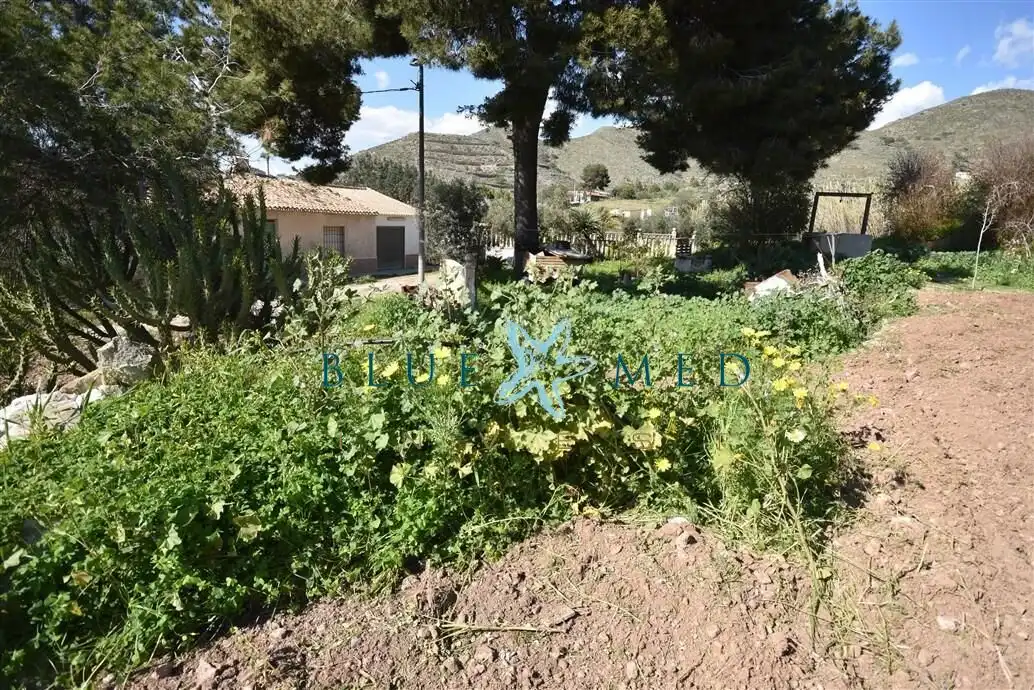 Terreni e lotti in vendita a Pedanías Oeste, imagen 17