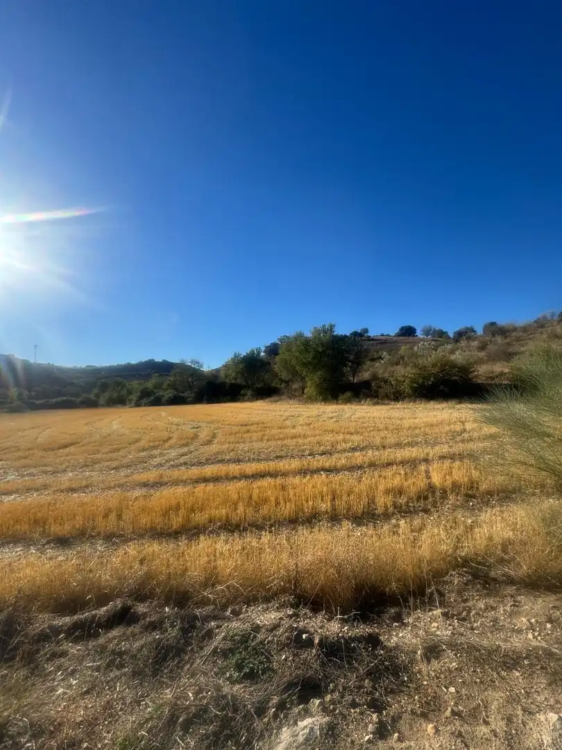 Terreny rústic en venda a Los Santos de la Humosa, imagen 2