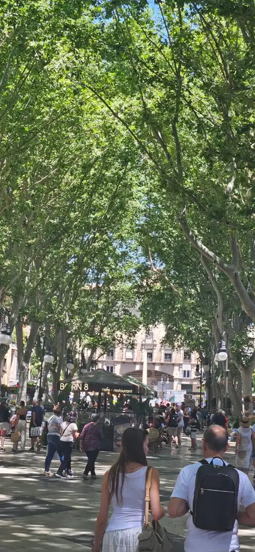 Vista exterior de Garatge en venda en  Palma de Mallorca
