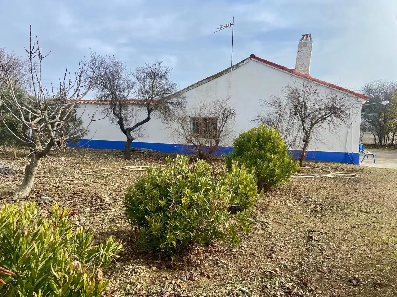 Vista exterior de Casa o chalet en venta en Ciudad Real con Jardín privado, Piscina y Amueblado
