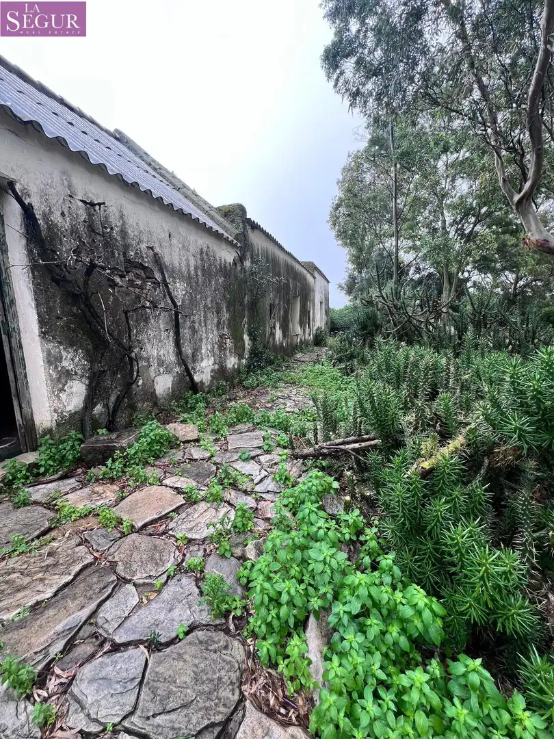 Vista exterior de Finca rústica en venda en Vejer de la Frontera amb Jardí privat