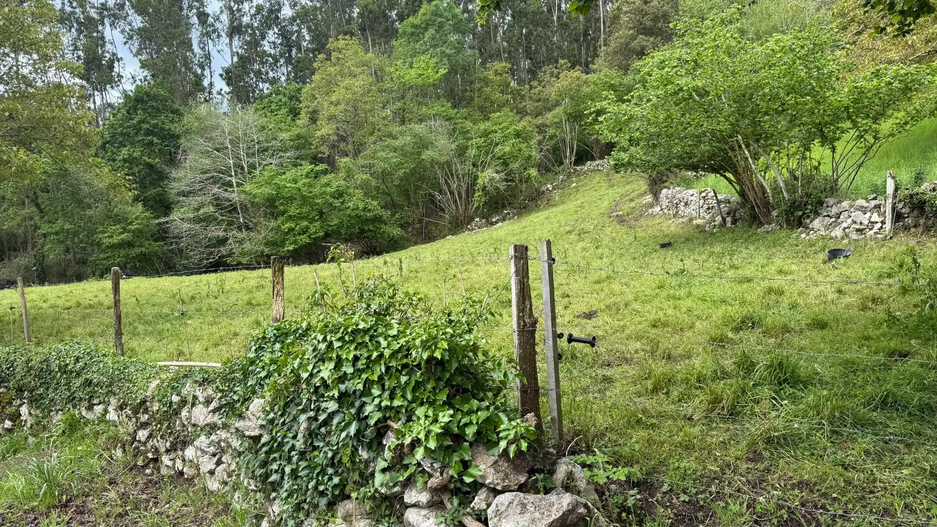 Land for sale in Valdáliga