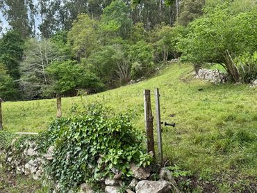 Terreno rustico in vendita a Barrio LA LINDE 11