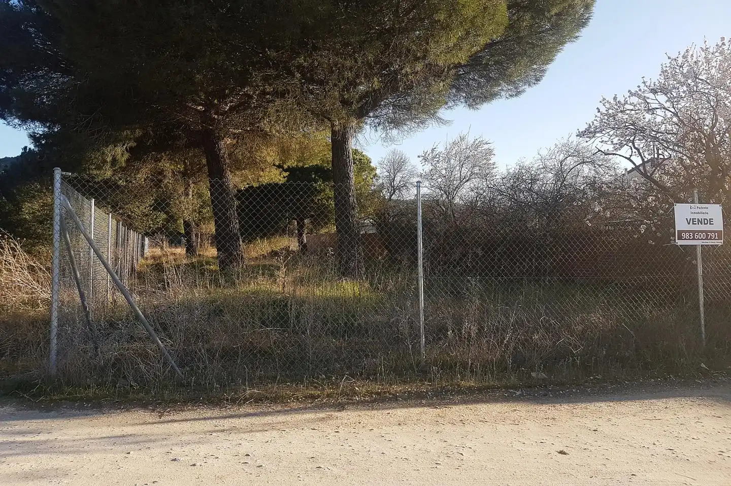 Terrenos y solares en venta en Quintanilla de Onésimo, imagen 4
