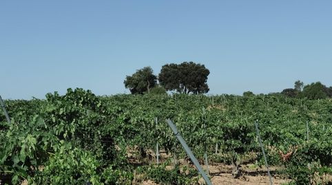 Foto 5 de Residencial en venta en La Alcantarilla, Fuente de Pedro Naharro, Cuenca