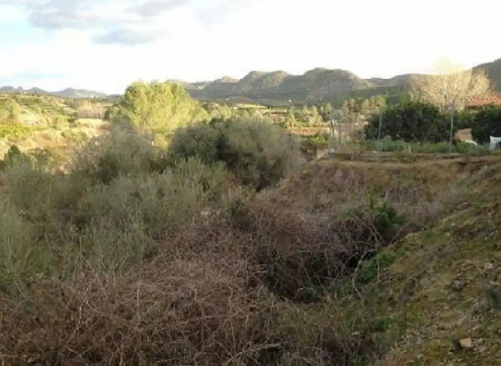 Terrain rustique à vendre à C/ Barxeta