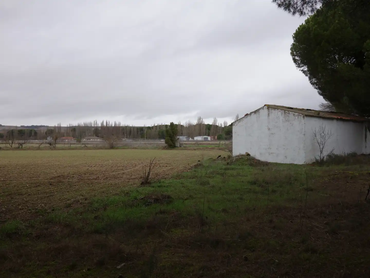 Terreno rustico in vendita a Tudela de Duero, imagen 3