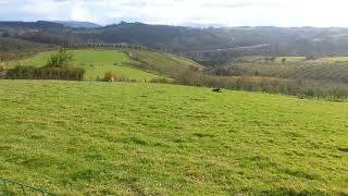 Terreno residencial en Venta en N/A, -1 en Sierín