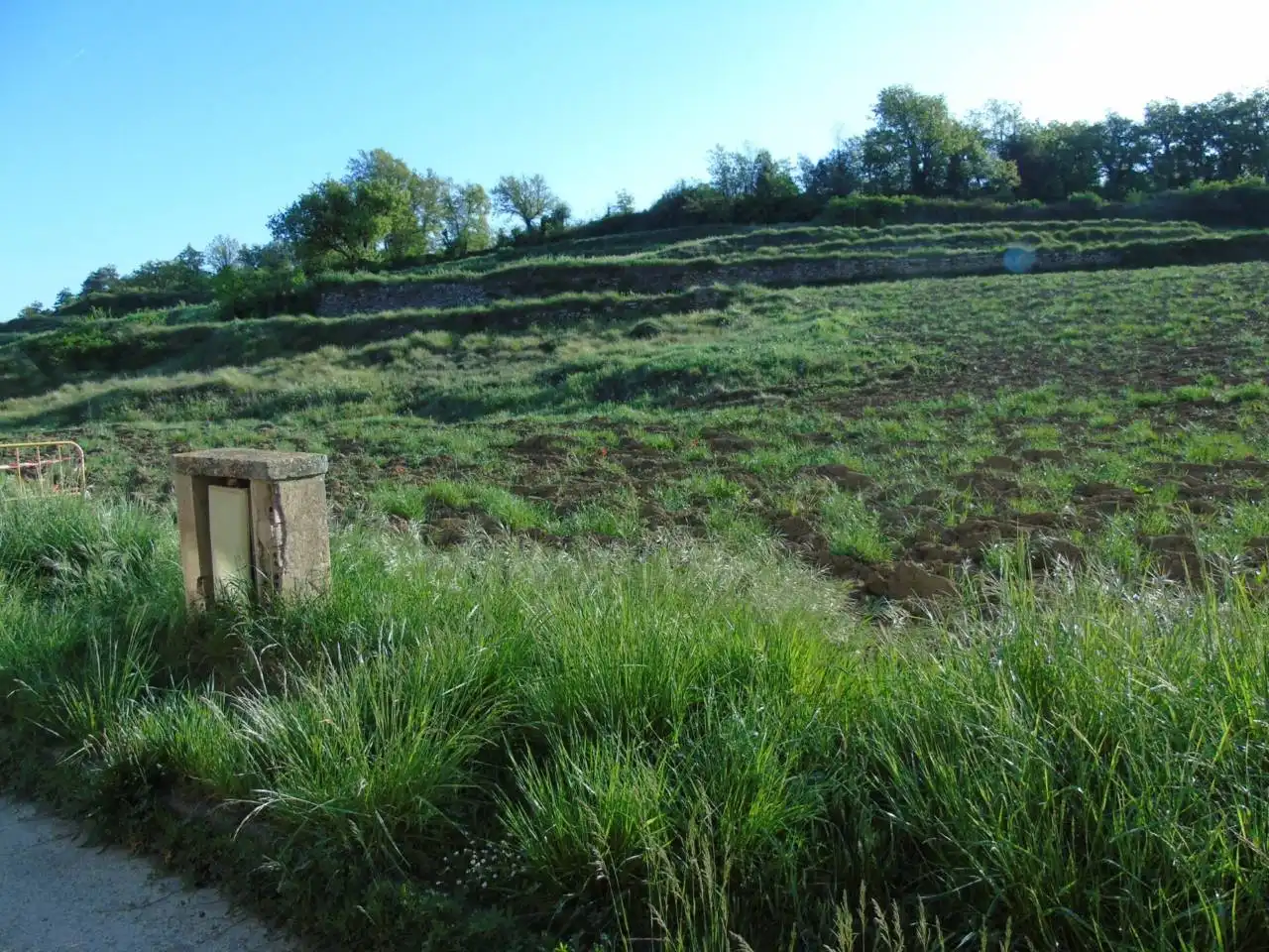 Terrain rustique à vendre à Castellterçol, imagen 15