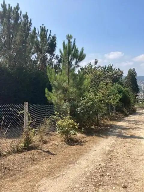 Casa o xalet en venda en Carballo amb Terrassa i Forn