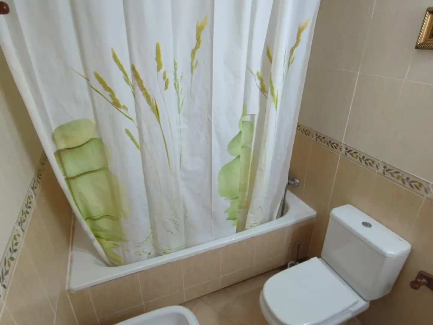Apartments for rent in Espinardo