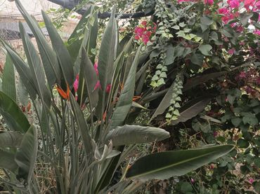 Casa a schiera con giardino in vendita a Dalías