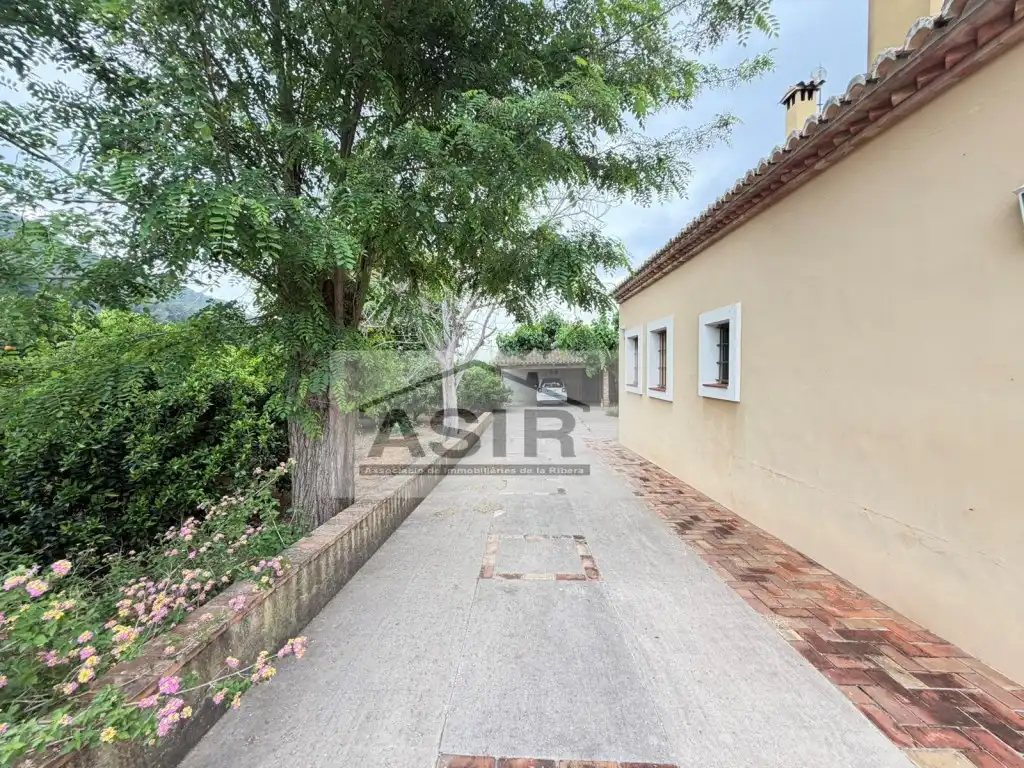 Exterior view of Houses for rent in Alzira  with Terrace and Swimming Pool