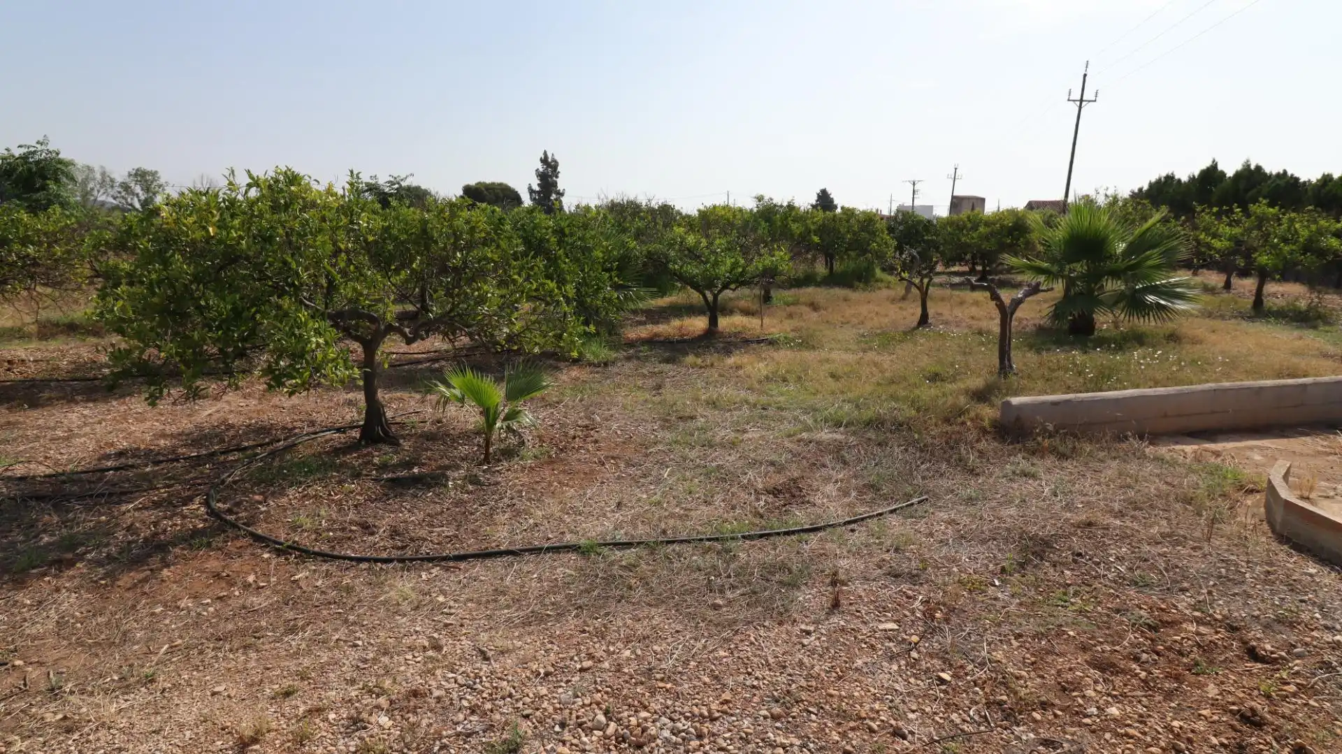 Terreno rústico en venta en Alcanar, imagen 29